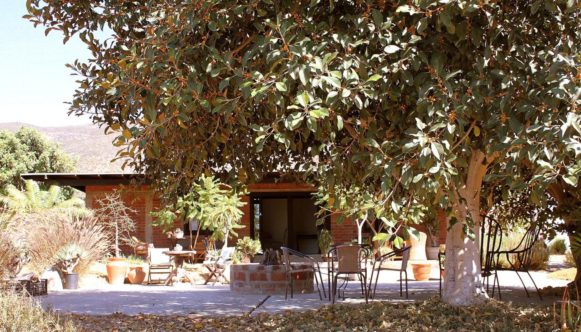 Las Orquideas Valle de Guadalupe Luaran gambar