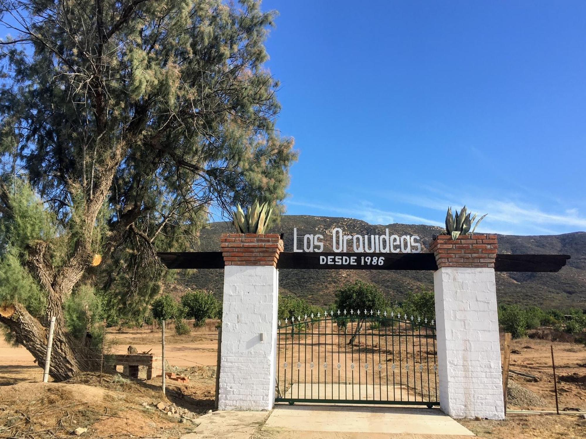 Las Orquideas Valle de Guadalupe Luaran gambar