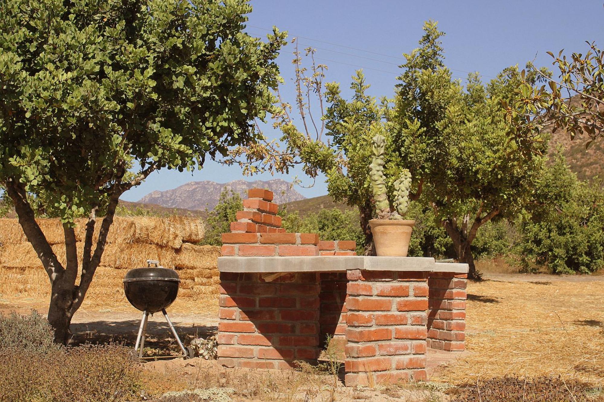 Las Orquideas Valle de Guadalupe Luaran gambar