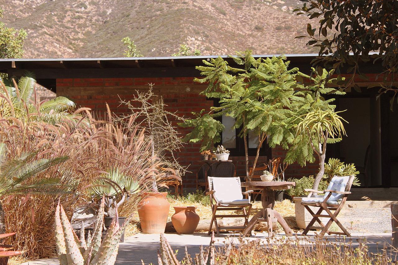 Las Orquideas Valle de Guadalupe Luaran gambar